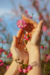 The girl holds in her hands a branch of blooming sakura. Japanese traditional style. Growing flowers in the garden. 
Save the planet. Ecology problem poster