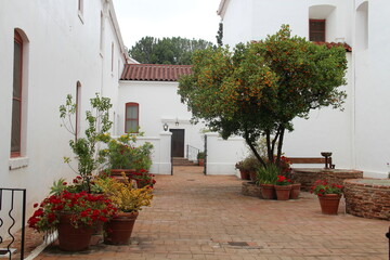Fototapeta na wymiar Beautiful courtyard with some plants