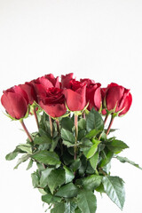 Bouquet of red lush roses with water drops in a glass vase