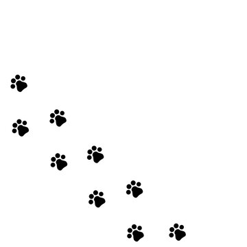 Print of footprints of an animal. Vector trail icon from pawprint cat or dog. Symbol of a walk with a pet. Stock Photo. Printable template.