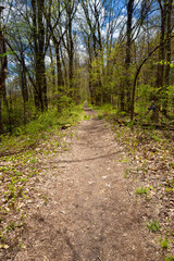 Fototapeta premium Hiking trail in Shenipsit Reservoir in Tolland, Connecticut.