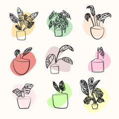 House plant line art set