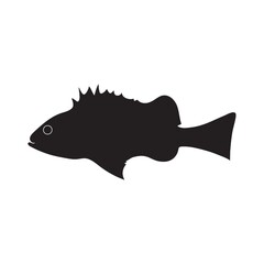 silhouette of fish