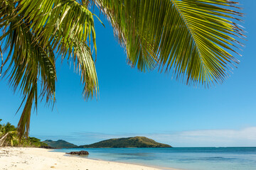 Fototapeta na wymiar Palm trees overhang the beach with blue sky
