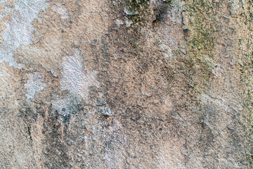 Textura de pared antigua