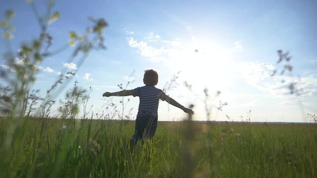 A happy, lovely child runs through a green wheat field. The boy dreams of traveling by plane with his family. A happy childhood is a healthy way of life.
