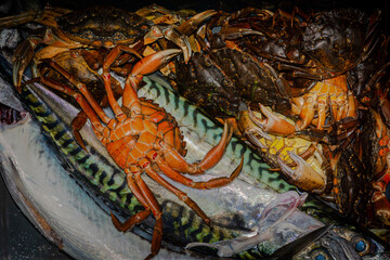 Fresh catch of seafood, red crab and mackerel in a bucket