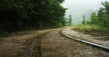 Fototapeta premium old railway in the forest