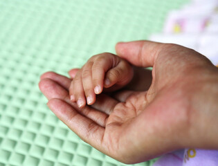 mother hand holding her baby hand
