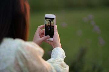 beautiful asian girl in white dress and posing relax and use smartphone with blur background meadow. by relax holiday in sunset light shine. by Freedom concept