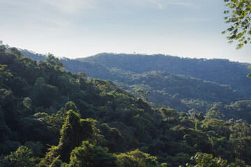 landscape top mountain green atlantic forest