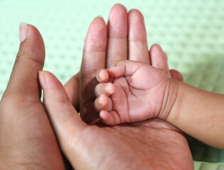 baby hand in mother and father hand
