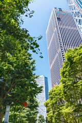 Fototapeta na wymiar 新緑が綺麗な西新宿高層ビル群