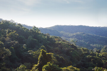 landscape top mountain green atlantic forest