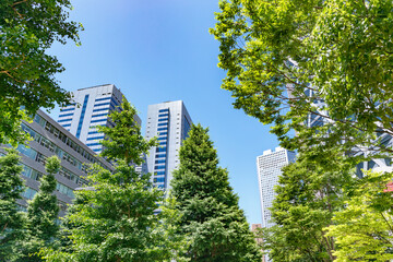 Obraz na płótnie Canvas 新緑が綺麗な西新宿高層ビル群