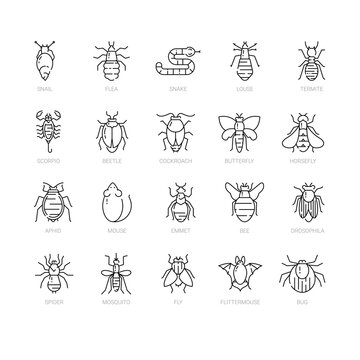 Pest Control Icon Set In Linear Style.