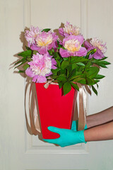 A bouquet of flowers in a red gift box in the hands of a courier in gloves on the background of the front door. A lush bouquet of peonies on request. Delivery of goods home during quarantine. Close-up