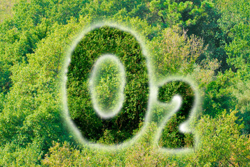 Planting more trees to fight climate change - concept image with O2 text against woodland