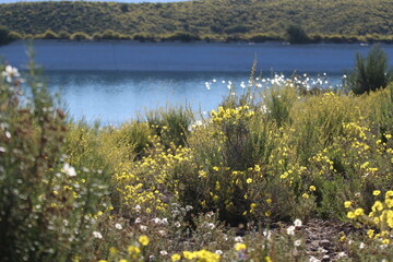 Naturaleza tranquila