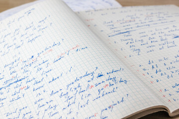 Sheets of school student notebook scribbled with a blue ballpoint pen.