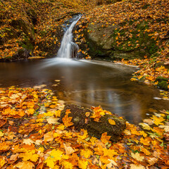 waterfall cascade over rocks covered with colorful leaves in autumn, long exposure