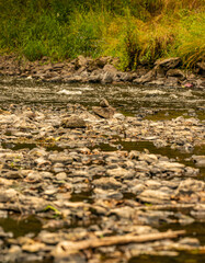 stones and rocks in small shallow river