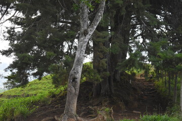 PAISAJE