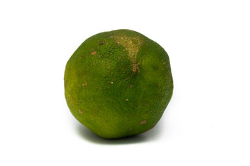 Lime on a white background frontal view