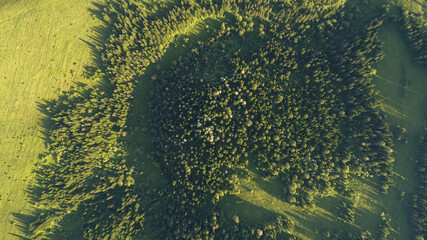Aerial top: mountain forest, texture of meadow view from above. Drone's Eye - tree green background. high-quality back for design and layout, the concept of summer meadows bordering an array of trees