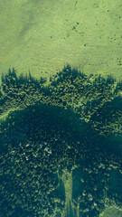 Aerial top: mountain forest, texture of meadow view from above. Drone's Eye - tree green background. high-quality back for design and layout, the concept of summer meadows bordering an array of trees