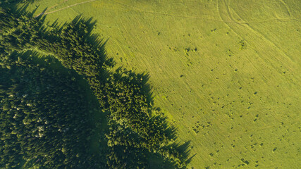Aerial top: mountain forest, texture of meadow view from above. Drone's Eye - tree green background. high-quality back for design and layout, the concept of summer meadows bordering an array of trees