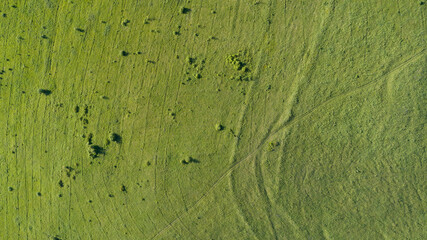 Aerial top view: green spring mountain meadow with a small amount of forest. synchronous tracks of...