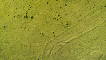 Aerial top view: green spring mountain meadow with a small amount of forest. synchronous tracks of the mower. village road