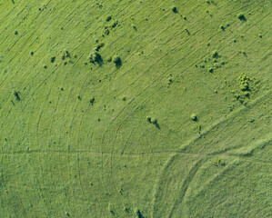 Aerial top view: green spring mountain meadow with a small amount of forest. synchronous tracks of...