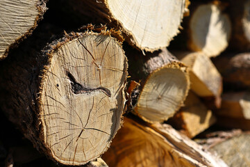 Close up of tree trunks. Wood texture. Torso with annual rings. The wood is prepared for heating....