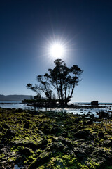 View from a beach in Sumba island, East Nusa Tenggara, Indonesia