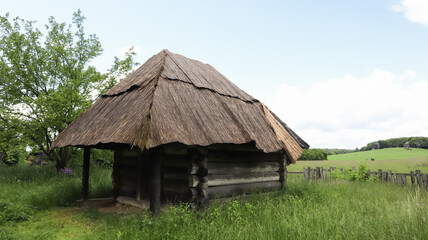 Fototapeta na wymiar Old peasant Ukrainian house or barn in the summer with a thatched roof in the village. Pirogovo Museum in the open air of different regions of Ukraine.