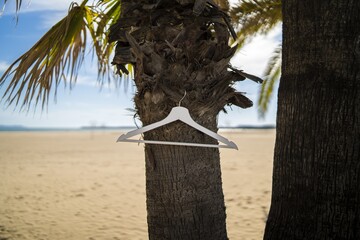 Shallow focus shot of a white hanger hanging on a palm tree at the beach
