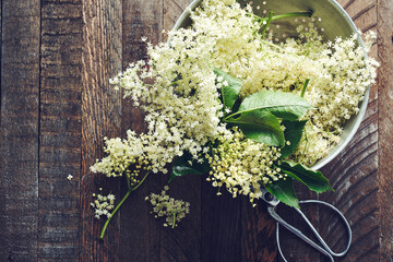 White elderberry flowers in a colander.