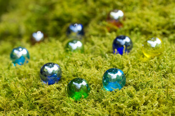 苔の上のビー玉