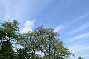 Blue sky with clouds and sun.