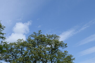 Blue sky with clouds and sun.