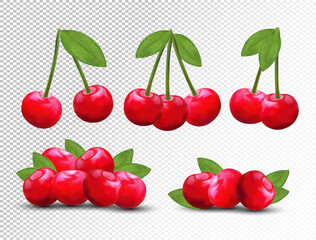 Collection ripe fresh cherry with green leaves on transparent background. 3D realistic fruits. Nature product. Vector illustration.