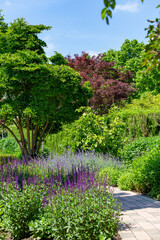 Colorful summer garden design with purple and blue blooiming plants, fresh green bushes and trees