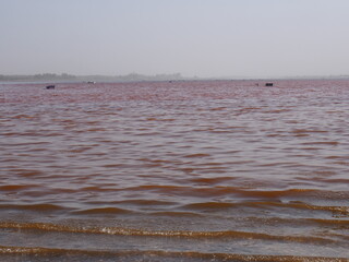 Fototapeta na wymiar Slightly reddish pink lake, Lac Rose, Dakar, Senegal