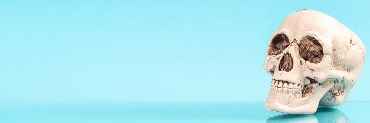 Artificial human skull on a colored background.