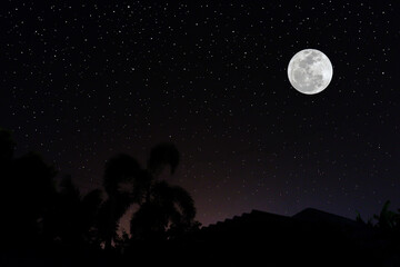 Fototapeta premium Full moon over silhouette home and trees at night.