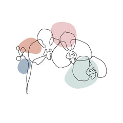 Orchid floral line arts frame cover collection. Minimalistic modern line art  Flower with abstract shape background for print, beauty and fashion. vector illustration. 