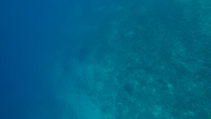 Fototapeta na wymiar Panoramic scene under water and blue background