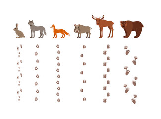 Forest animals with foot prints cartoon style colorful vector illustration